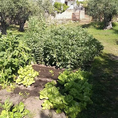 דירה Tia Antonia