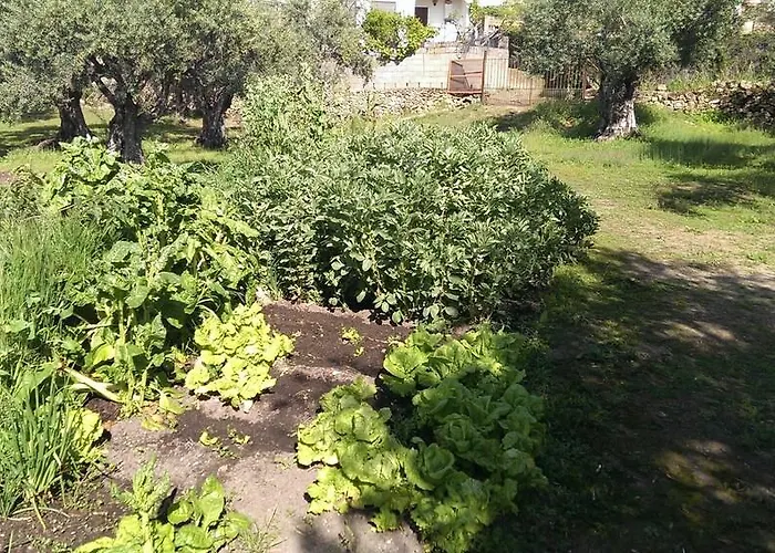 Apartment Tia Antonia