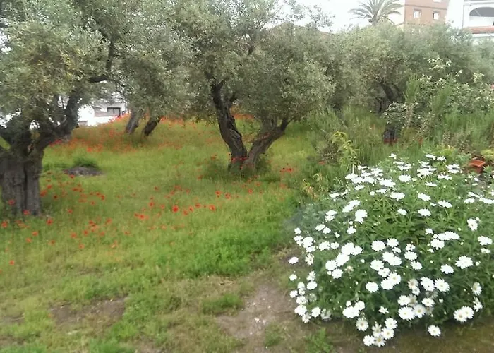 Apartment Tia Antonia Villar de Plasencia